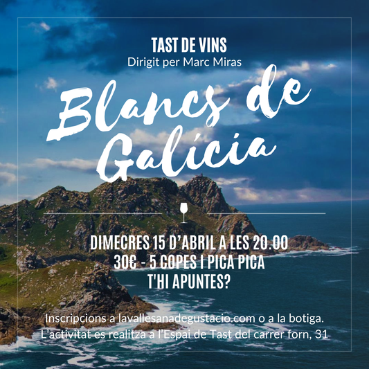 Tast de 5 vins blancs de Galícia